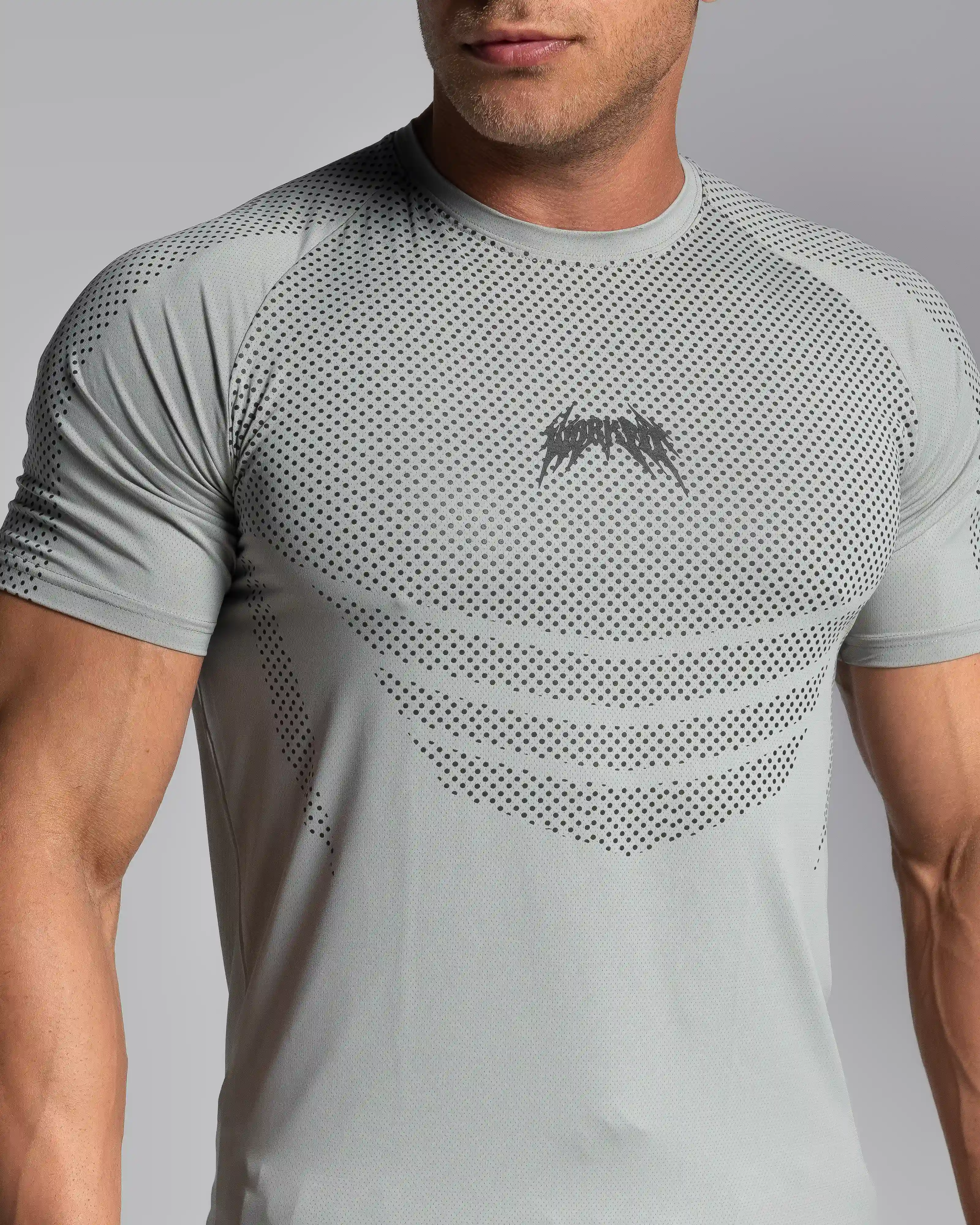 physque t shirt gray